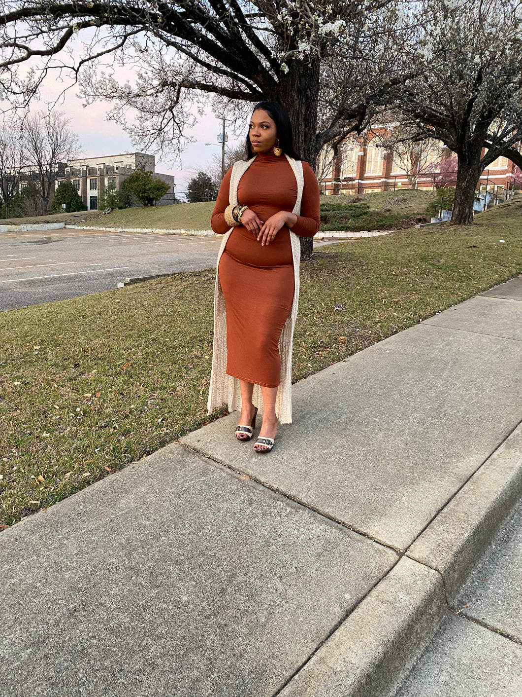 ‘Mona’ Mock-Neck Midi Dress (Brown)